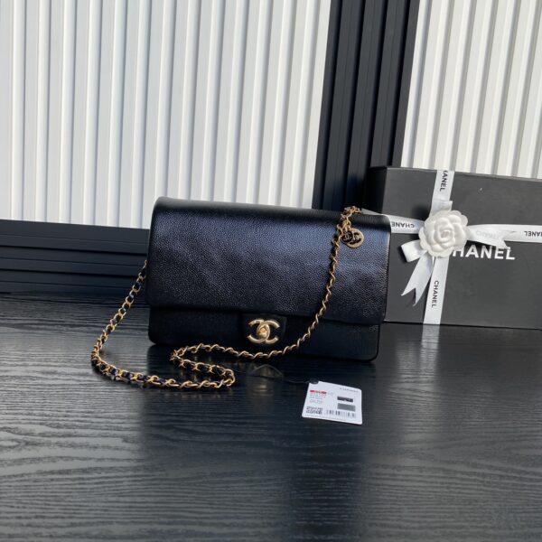 CHANEL CF Middle ancient bag