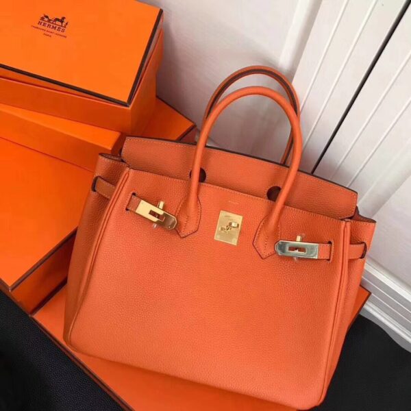 Hermès platinum bag - Image 3