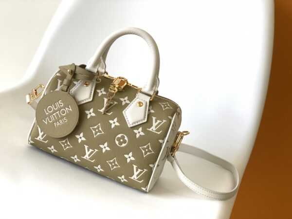 LV Speedy pillow bag