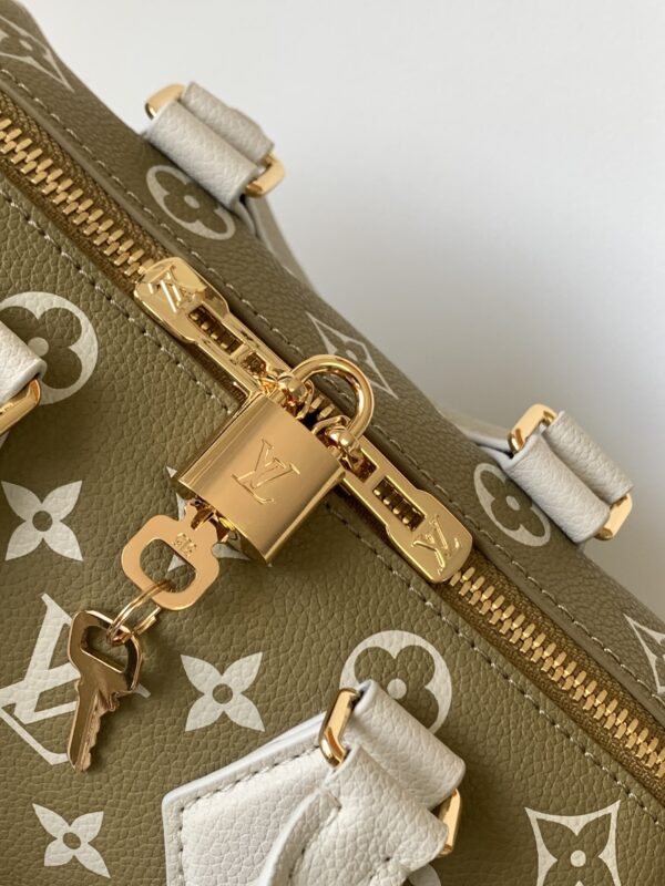 LV Speedy pillow bag - Image 5