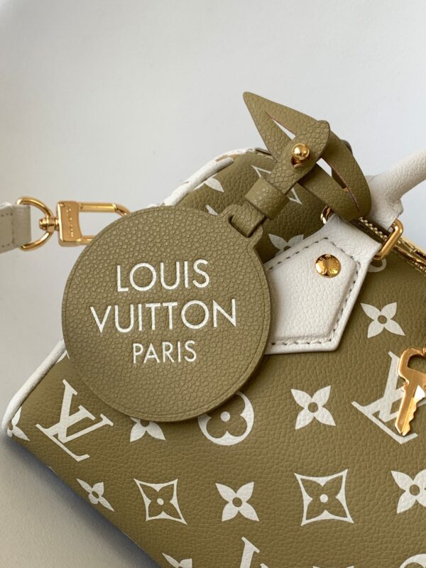 LV Speedy pillow bag - Image 6