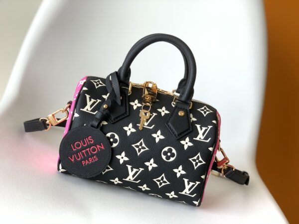 LV Speedy pillow bag