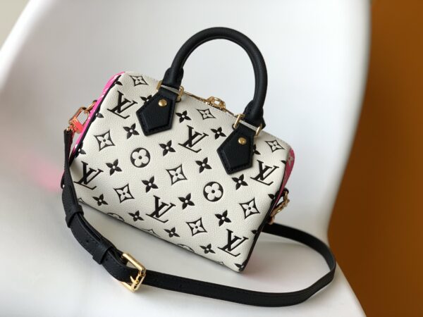 LV Speedy pillow bag - Image 2