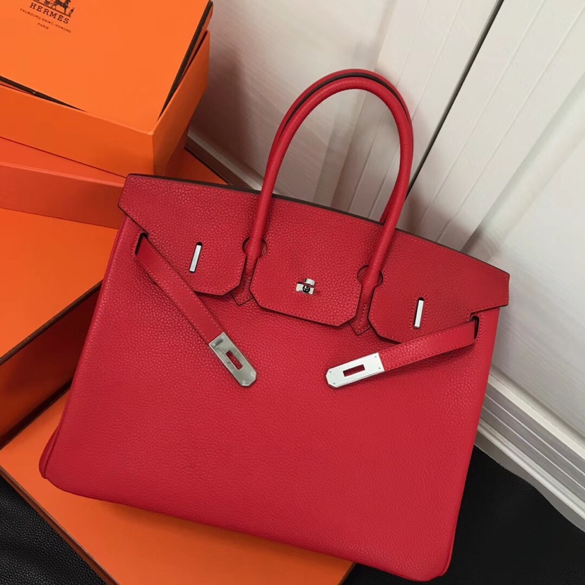 Hermès platinum bag