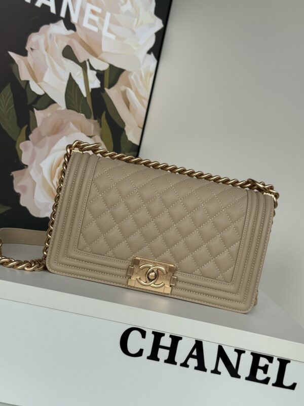 CHANEL leboy bag