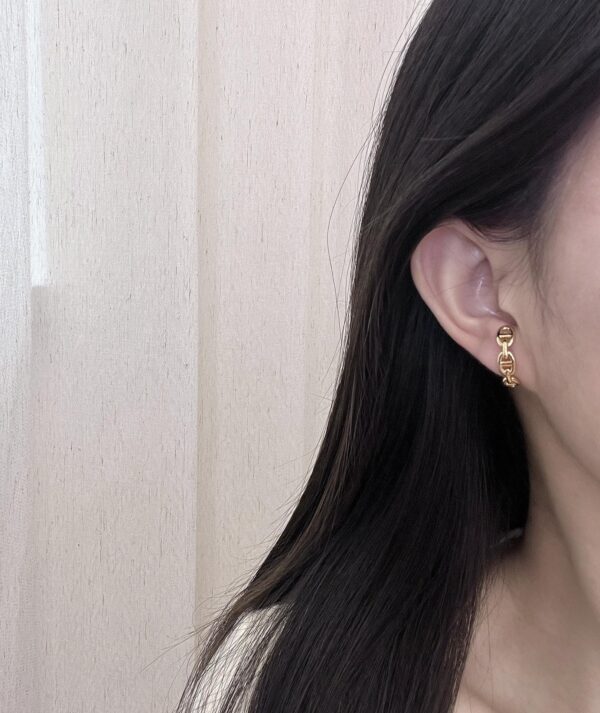 HERMES Smooth Pig Nose Earrings - Image 6