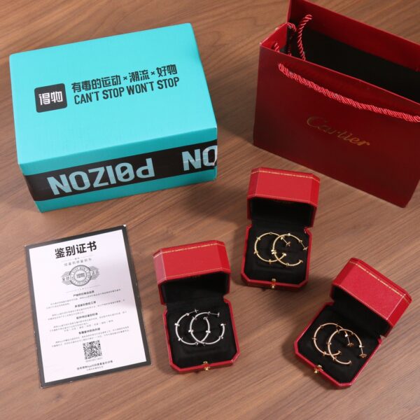 Cartier ECROU DE CARTIER Nut Earrings - Image 2