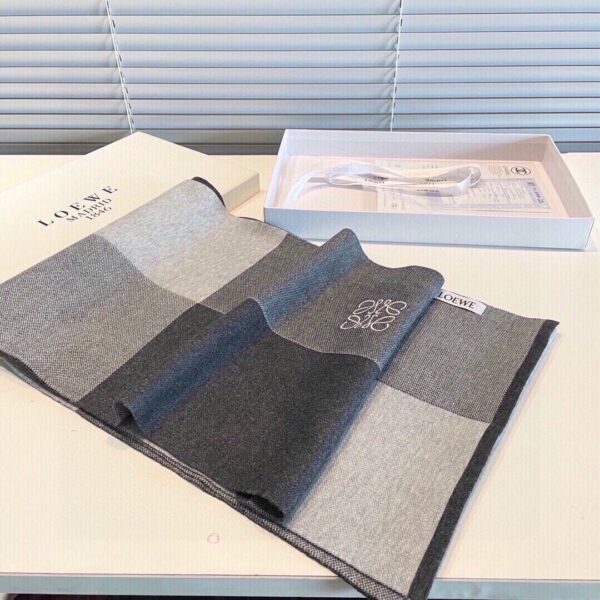 LOEWE Embroidered Scarf - Image 3