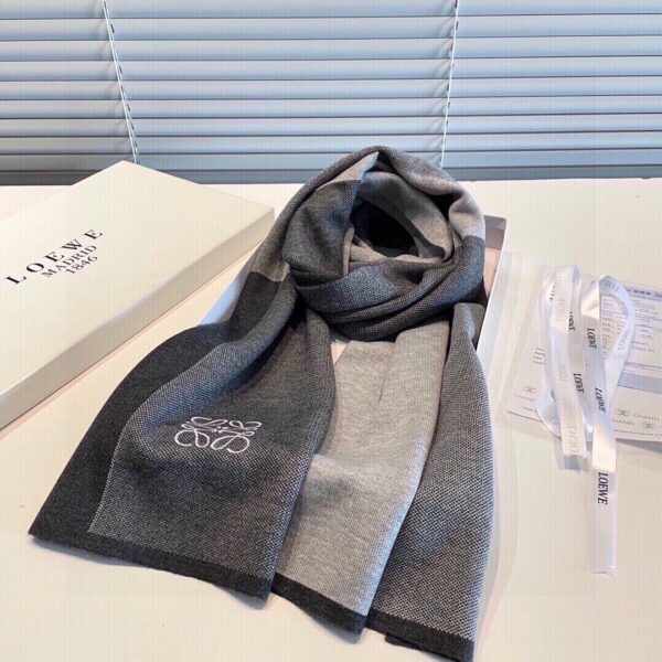LOEWE Embroidered Scarf - Image 4