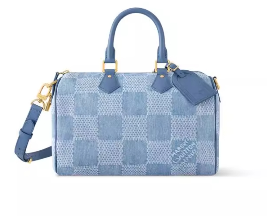 Louis Vuitton Speedy 30 Men's Denim Blue Canvas Handbag